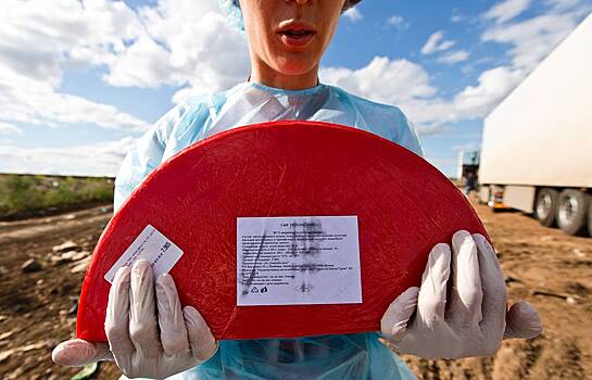 В Россию перестали завозить санкционные продукты