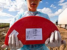 В Россию перестали завозить санкционные продукты