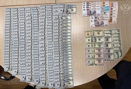 Иностранке пришлось оправдываться в аэропорту России из-за прибыли от бизнеса в кошельке