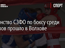 Первенство СЗФО по боксу среди юниоров прошло в Волхове