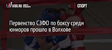 Первенство СЗФО по боксу среди юниоров прошло в Волхове