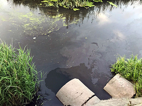 Челябинские общественники нашли трубу, через которую в реку Миасс сбрасывали нефтепродукты