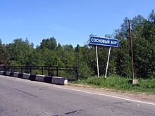 В Сосновом Бору построят ветклинику за 40 млн рублей