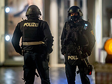 Пять сирийских беженцев украли и изнасиловали 17-летнюю девушку в Германии