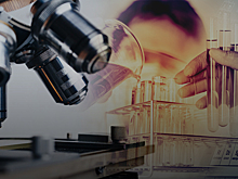 Представлен план основных мероприятий Года науки и технологий