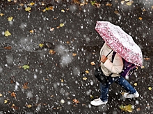 Синоптик рассказал, когда в Москве выпадет первый снег