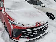 Белорусский Zubr — стало известно, где сейчас эти машины