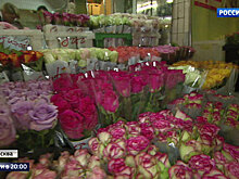 Цветы напрокат: перед 8 марта букеты подорожали на 20 процентов