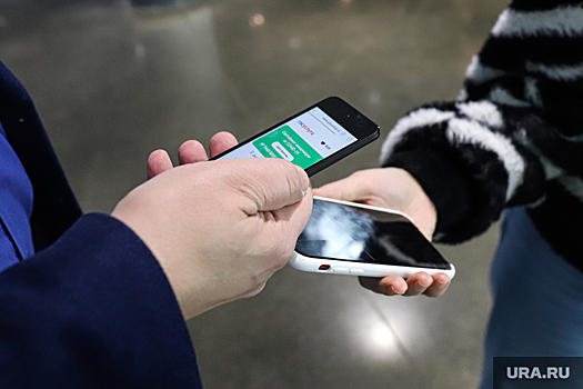 Пермские перевозчики при проверке QR-кодов столкнутся с проблемой