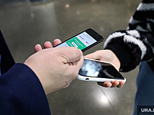 Пермские перевозчики при проверке QR-кодов столкнутся с проблемой