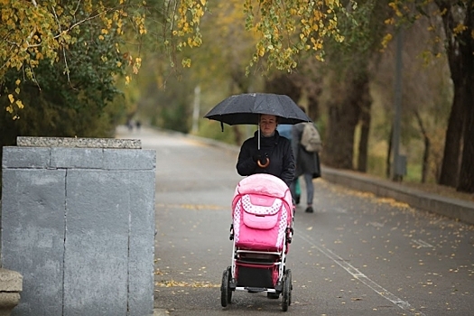 В Тюменской области 5,8 тысячи семей получили маткапитал с начала года