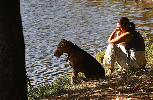 Краснодарский край ужесточил правила выгула собак