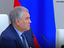 Володина возмутила раздача водной глади частникам в городской черте