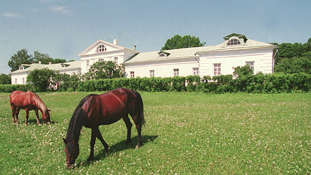 В «Ясной Поляне» появится релакс-зона с баней и бассейном