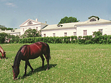 В «Ясной Поляне» появится релакс-зона с баней и бассейном
