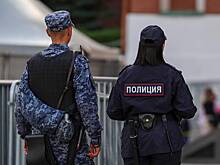 МВД России переобъявило в розыск Невзорова и экс-замминистра энергетики России