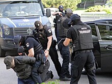 Полиция Украины назвала «мелким» пикет против Зеленского