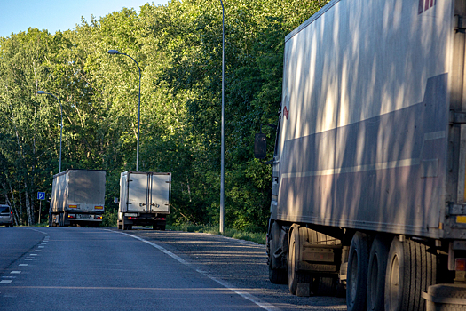 Пьяная жительница Саратовской области попала под колеса грузовика