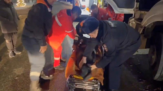 Бдительность полицейских спасла жизнь водителю большегруза в Краснодарском крае