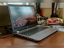 Каждый второй прошедший онлайн-курсы в ДФО нашёл работу за месяц