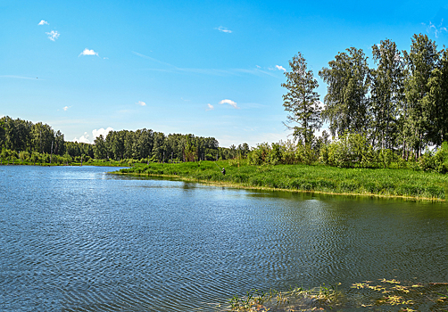 Первый глэмпинг-парк появится в Кузбассе этим летом