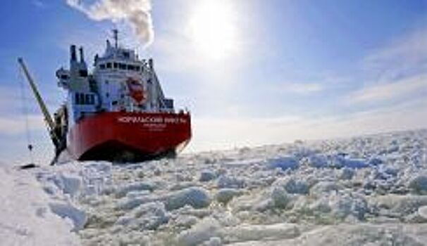 Эксперт: европейская элита растеряна из-за происходящего в США