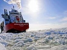 Эксперт: европейская элита растеряна из-за происходящего в США