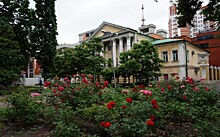 В Воронеже отреставрируют Дом врача Мартынова