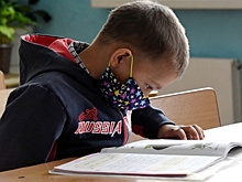 Минпросвещения не планирует вводить обязательное цифровое портфолио для школьников