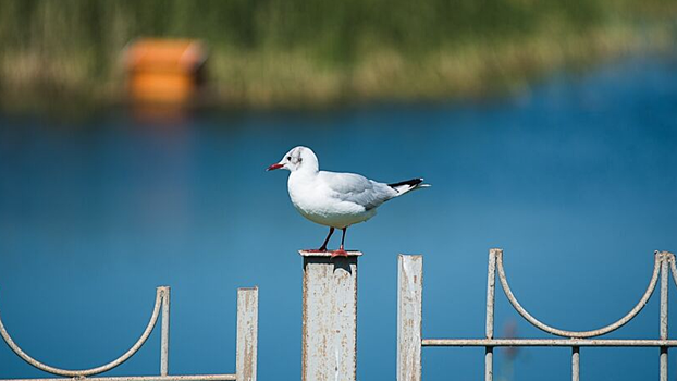 Гуляем по омским экотропам правильно: куда ехать и как себя вести