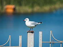Гуляем по омским экотропам правильно: куда ехать и как себя вести