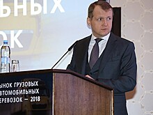 Минтранс ожидает перевозки более 6 млн пассажиров воздушным и ж/д транспортом во время ЧМ-2018