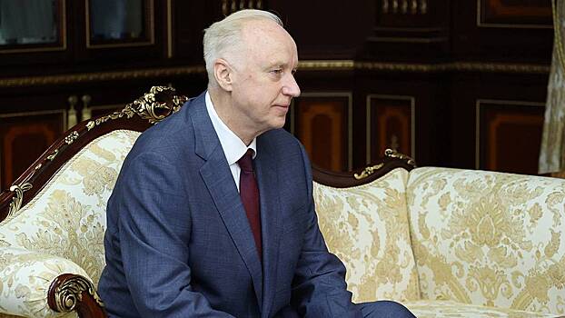 Бастрыкин поставил на контроль дело об избиении 15-летней девочки в Подмосковье