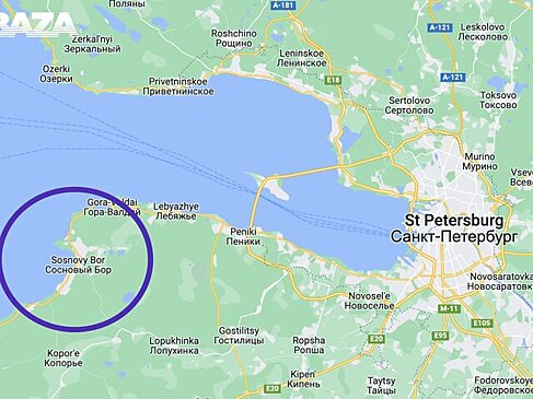 Власти Ленобласти не подтвердили сообщения об объекте в небе над Сосновым Бором