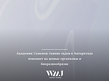 Академик Семенов: таяние льдов в Антарктиде повлияет на живые организмы и биоразнообразие