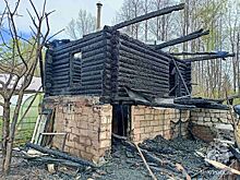Садовый дом сгорел в Удмуртии после того, как пенсионерка плеснула бензин на горячий чугунок