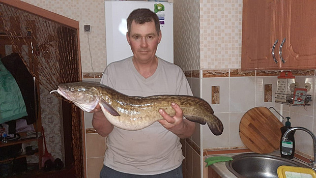 Тюменец поймал четырехкилограммового налима в местной реке