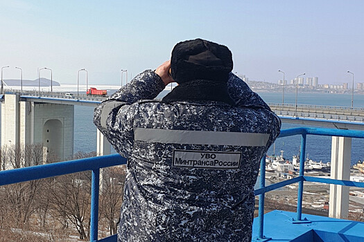Во Владивостоке охраной Минтранса из ледяной воды спасен человек