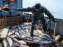 Доходы России от продажи одного вида продукции в Китай заметно выросли