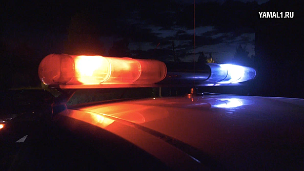 На трассе Екатеринбург – Нижний Тагил – Серов в ДТП погибло пять человек