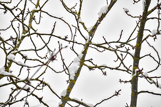 Ожидается гололед: как погода в Ростове 8 января повлияет на следующий день