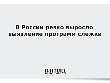 Россияне стали самыми частыми жертвами слежки в интернете