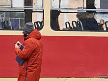 В центре Екатеринбурга из-за повреждения проводов встали трамваи
