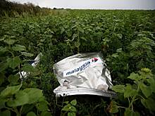 Путин обсудил с премьером Малайзии решение ИКАО по MH17