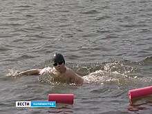 В Калининграде прошёл первый чемпионат области по зимнему плаванию