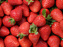 5 потрясающих блюд из клубники, которые понравятся даже гурманам