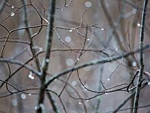 У природы нет плохой погоды