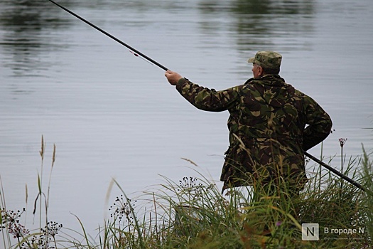 Слиповые комплексы для рыбалки будут строить в Нижегородской области