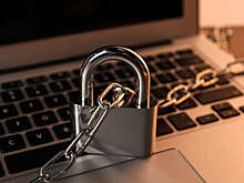 Роскомнадзор ограничил доступ к аниме-сайту "Шикимори"