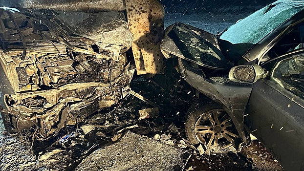 Два человека погибли и пять пострадали в ДТП под Луганском